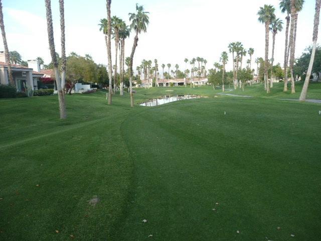 Palm Valley Cc Pickleball, Tennis, Gym, Clubhouse, Swimming Pools, Lux, Spac 2 Bdrms Den 2 Ba Palm Desert Extérieur photo